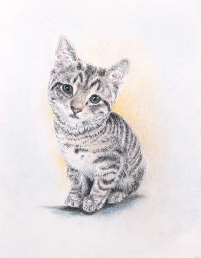 The Kitten